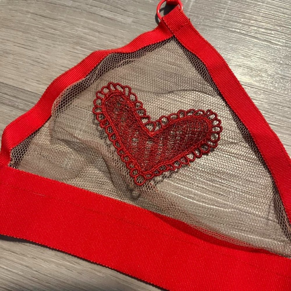 For Love & Lemons valentines appliqué bra